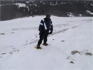 small_000112 quandaryIMG_2767.webp